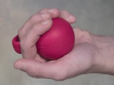 DM8176 - Rehab Exercise Ball